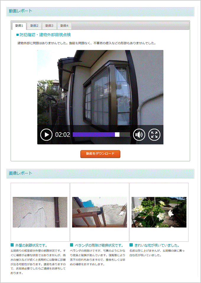 イメージレポート
